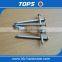 Common Iron Nail/ Common Wire Nail