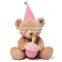 Pretty Pink Girl Custom Wholesale Stuffed Soft Toy Plush Happy Birthday Teddy Bear
