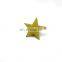 Cute Star Shape Pocket Metal Badge Customized Wholesale