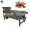 200 kg/h cocoa bean almond sorting machine