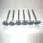 Engine Parts for 6BG1 Intake valve & Exhaust valve 1-12551-083-0 1-12551-081-0
