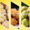 Hot selling fish meat food stuffed ball making machine