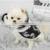 Customized Korea Fashion Luxury Apparel Designer 2021 Summer Dogs Clothes Wholesale