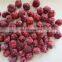 Sinocharm BRC A Approved IQF Pitted Sour Cherry Frozen Red Cherry
