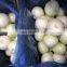 2020 New Crop Top Grade 20 KG package Diameter > 6 cm Peeled  Fresh Yellow Onion for sale