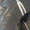 Construction machinery tires 7.50-16 Small loader tires L-3/E-3