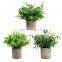 Home Decor Plants Artificial Bonsai Green Flocking Eucalyptus Money Leave Artificial Potted Bonsai Plant With Pot