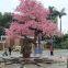 Fiberglass Fake Seaweed Trees - Ocean Park & Resort Landscape Set,lifelike artificial large tree
