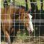 High Tensile Hot Dipped Galvanized Animal Farm Protection Fence(manufacturer)
