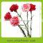 Diversified in packaging factory direct decorative flowers autumn carnation in bunch