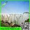 Supply 2016 clear Greenhouse Polyethylene Film /6 mil poly film/greenhouse plastic/overwintering film