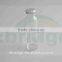 310ml glass beverage bottles juice bottles soda bottle with cap