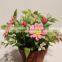 Cheap Fake Plastic Artificial Daisy Flower with Pot for Table Centerpiece