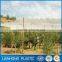 (shandong factory) cheap price Agriculture anti-hail netting , hail guard net ,from 50gsm to 100gsm