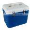 Portable mini vaccine refrigerator with temperature display