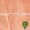3*6 4*6 0.30mm bintangor face veneer sheet for plywood furniture door skin