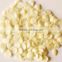 Chinese blanched blanched apricot kernels(almond) with best price