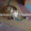 Marine the bell brass 4.5KG high quality and competitive price