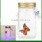 Electronic Butterfly Jar Butterfly Bottle with LED light