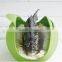 2015 Hotsale Newly Design Food Grade Silicone Steamer Roaster Fish Steamer