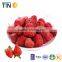 TTN 2016 Halal Snacks Freeze Dried Strawberry  China Supplier