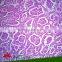 Sales Promotion Medical Prepared Microscope Slide for School