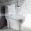 Modern Design Toilet TC--38687