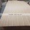 2.5mm 3.6mm hardwood core natural Burma teak plywood fancy veneer plywood Q/C C/C to Iraq market