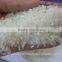 LONG WHITE RICE (vilaconicexportATgmailDOTcom) WHITE RICE