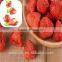 Wholesale Dried strawberry chips with BRC Certificate