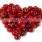 GMP Factory Supply High Quaity Cranberry Fruit Extract