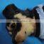 Stuffed Plush Simulation Fake Dogs Toys, Plastic Toy Dog Sets