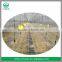 Screwed Anti Drip Valve With Hang Set For Micro Spinkler Irrigation System