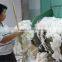 commercial washing machine prices