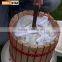 Fruit Press Machine