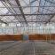 Perfect Sunlight Panel Covered Greenhouse For Agricultural Planting