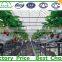 Commercial climate control Strawberry Greenhouse with Thermal system