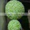 SJ040915 Home & wedding decoration artificial grass ball indoor