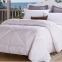 Down Duvet