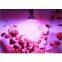 PAR Series LED Grow Bulbs