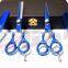 Professional Hair Cutting Thinning Scissors +Hair Styling Razors Salon Set