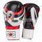 Gym and Fitness Boxing Gloves