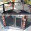 Cheap Price UFC Mma Octagon Cage
