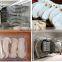 Cubilose Peeled Prawns Vacuum Freeze Drying  Equipment