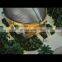 villa model  for holiday and vocation