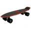 Mini Cruiser Skateboard Retro Style Plastic Skate Board With Colorful Wheels