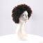 High Quality  Short Human Hair Wig Direct Factory