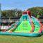 Low price huge adult and kids amusement backyard dry inflatable shark water slide