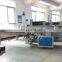 Hot selling Automatic Feeding Orange Pillow Wrapping Machine Tangerine Packaging Machine