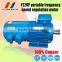 YE2VP series 3-phase ac variable frequency electric motor